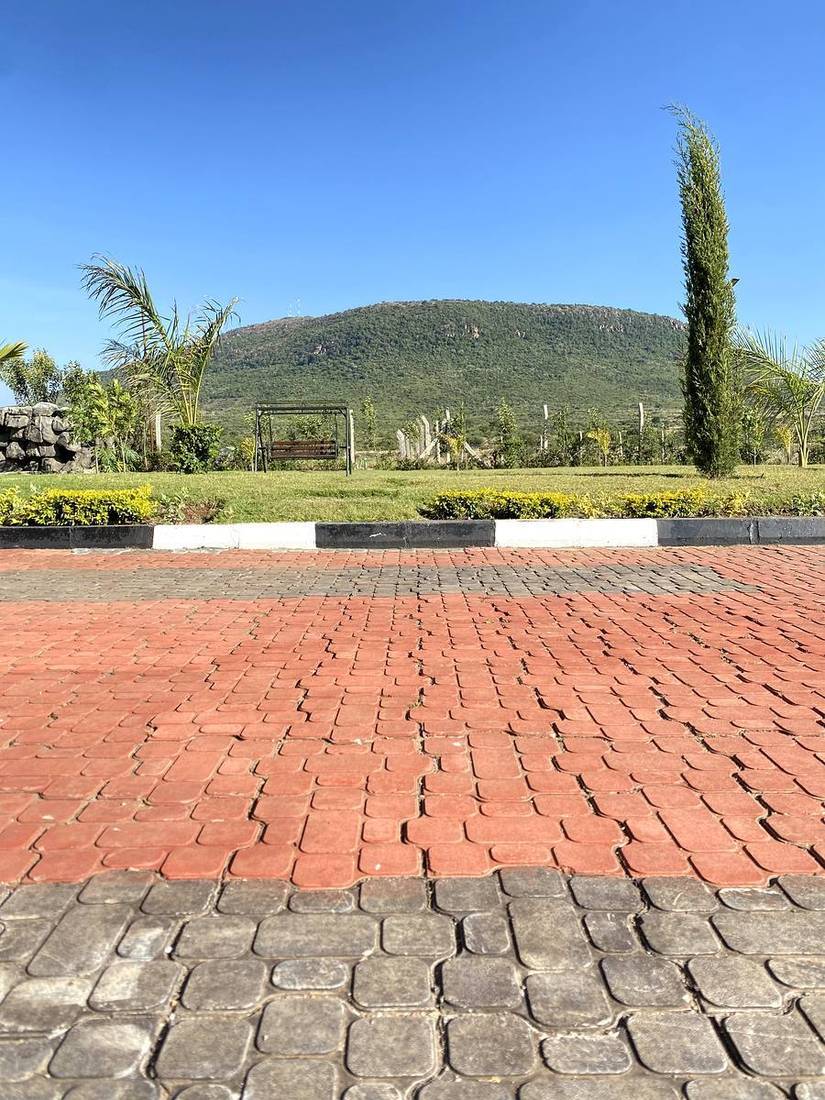 Courtyard and gardens