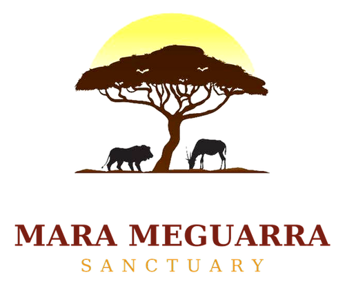 Mara Meguarra Sanctuary